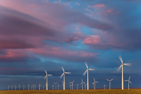 wind turbines in field